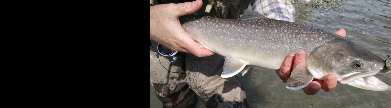 flyfishstarvalley