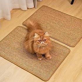 catscratcher5