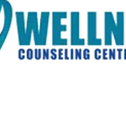 wellnesscounselingseo